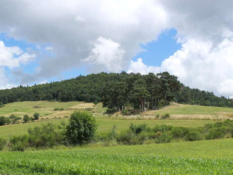 Le Vallon de la Trézaillette - PR16 - VTT