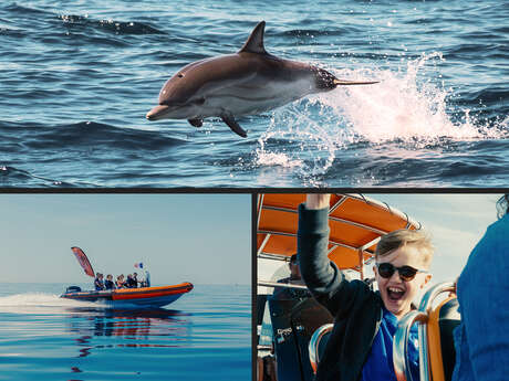 Sea Adventure