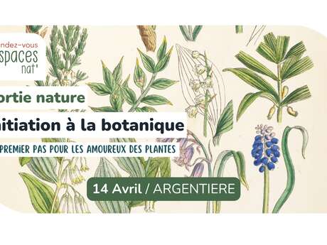 Sortie nature - Initiation à la botanique