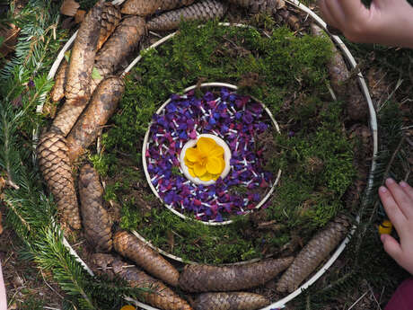 Hiking and nature activities with Impulsion