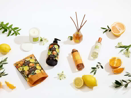 Collines de Provence