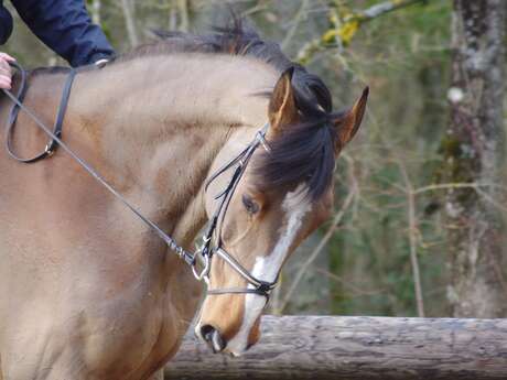 Les Ecuries de Maillane