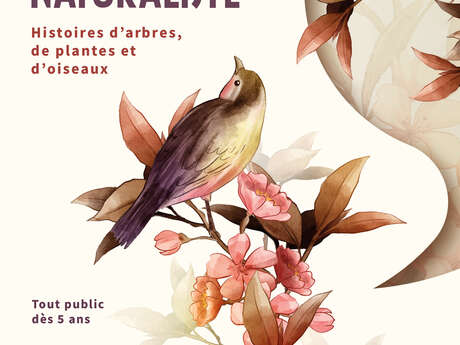 A nature walk with storytelling: tales of plants