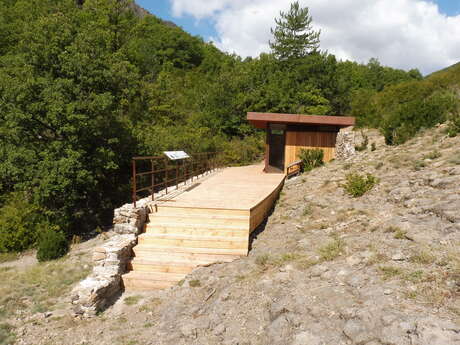 L'Ichtyosaure de La Robine