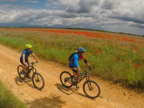 Site VTT FFC - Provence Verdon - Circuit 08 - Rouge