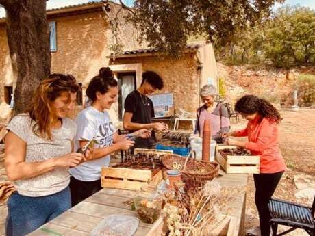 Apprentis maraîchers : semez, cultivez et récoltez