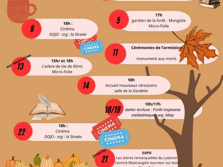 Un mois de novembre à Céreste