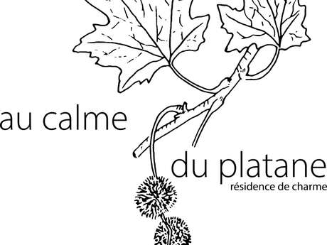 Au Calme du Platane
