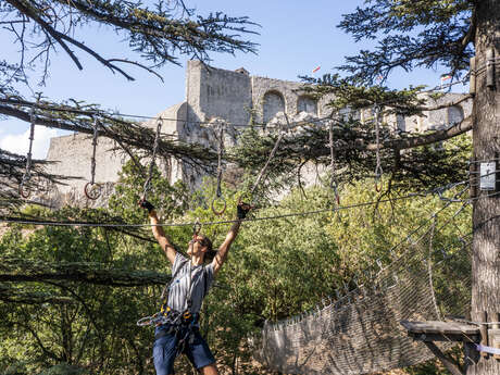 Tree climbing : Extreme