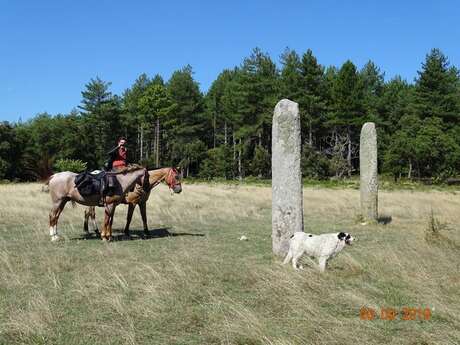 Les menhirs des Lamberts
