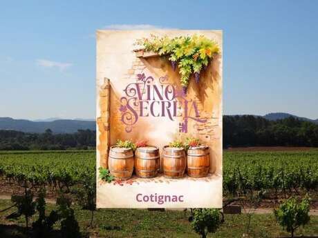 Vino secreta : escape game aventure dans les vignes