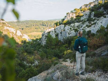 MALEMORT-DU-COMTAT - Combe du diable