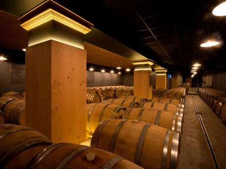 Visite étonnante de l'une des caves les plus modernes de Provence