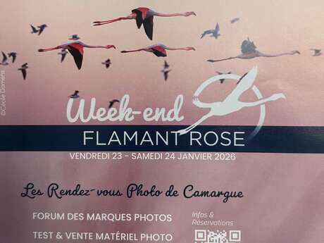 Week-end Flamant Rose au Parc Ornithologique