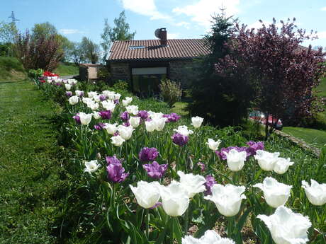 Gîte de Montmirond