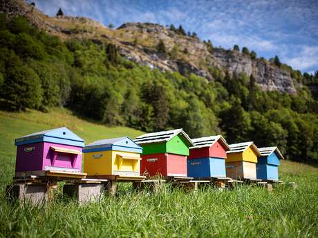 Veillée d'hiver : l'apiculture