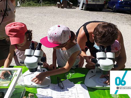 Micro Aventure " Rallye nature scientifique "