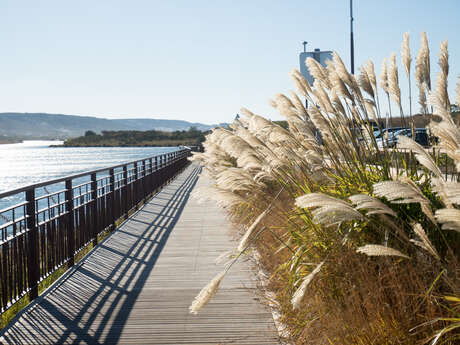 Bouches-du-Rhône en Paysages - Marignane, au fil de l'eau