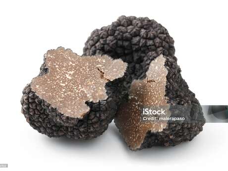 Fete de la truffe à La Tour d'Aigues