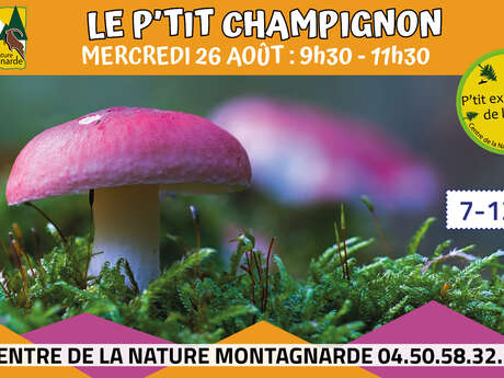 Les P'tits Experts de la Nature® - Le P'tit champignon