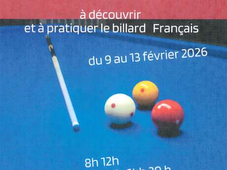 Découverte du billard français