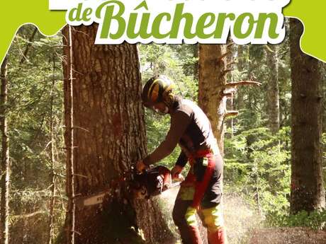 Vis ma vie de Bûcheron - massif de Belledonne