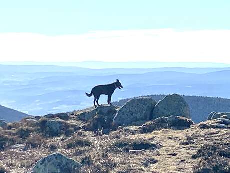 Les chambres de la Closerie