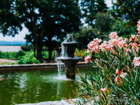 Tasting initiation workshop at Château Fortia