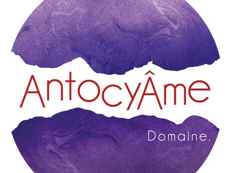 AntocyAme