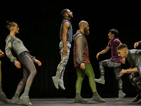 Danse : STEPS : Sphynx