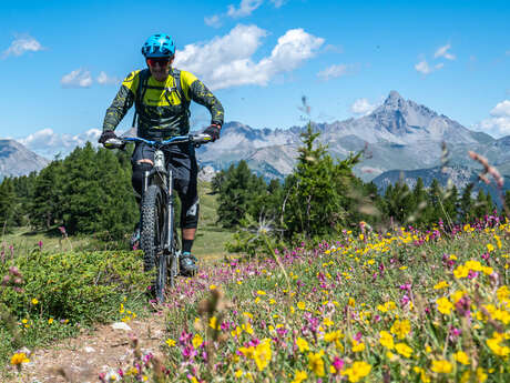 Sommet Bucher - Château-Queyras en VTT