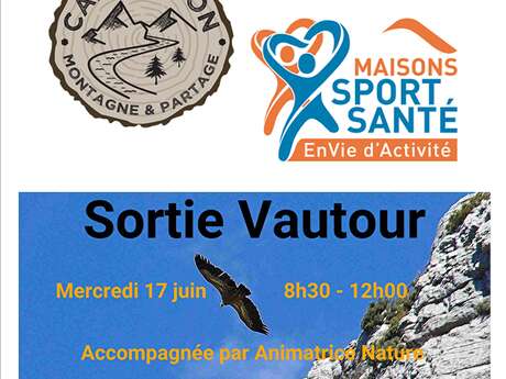 Sortie vautours