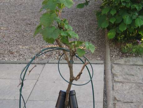 Restaurant La Bergerie