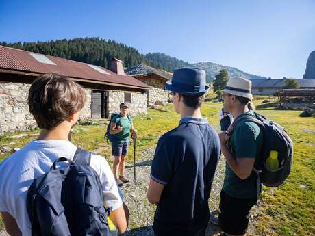 Alpine pastures in Ubine