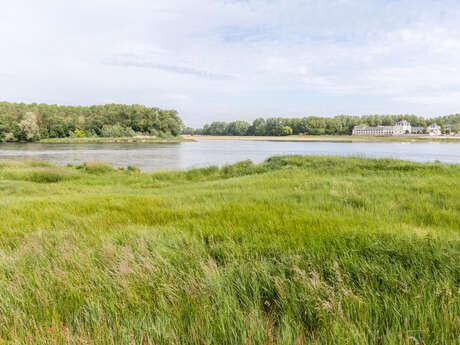 Confluence de la Maine et de la Loire