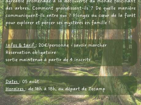 Histoire d'arbres - Sortie nature Zecamp