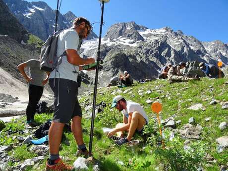 Conférence : une année de suivi de la nature au Parc national des Ecrins