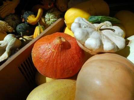 Marché du jeudi (6-8 exposants)