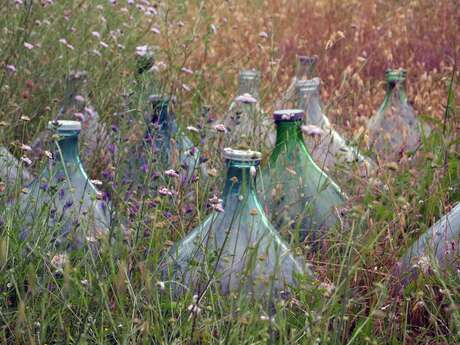 Domaine Cadavre Exquis