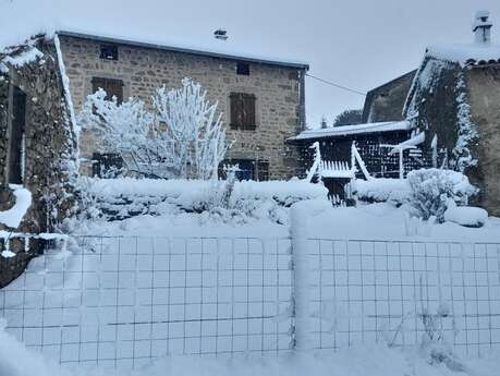 A la Lisière des Houx