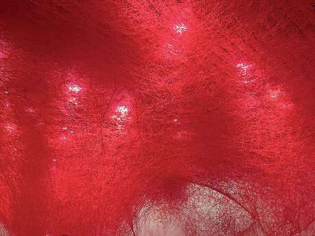 Soirée poésie "Printemps des poètes"