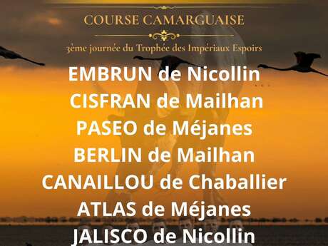 Course camarguaise aux arènes - Trophée des Impériaux Espoirs - Avenir