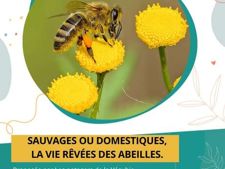 Conférence - "La vie des abeilles"