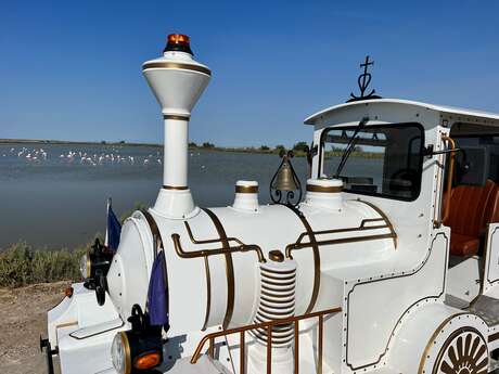 Le Petit Train Camarguais