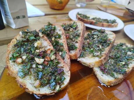 Journée découverte plantes comestibles et médicinales