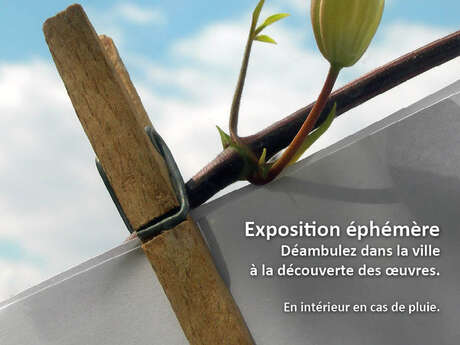 Exposition éphémère "La Grande Lessive"