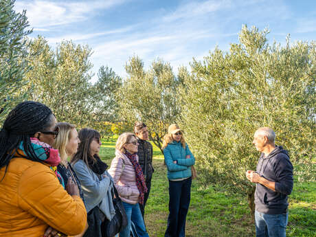Olive oil tasting at "Les 3 Souquets" store