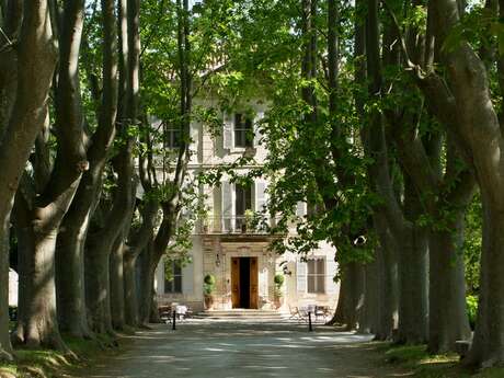 Château des Alpilles