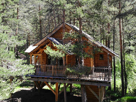 Cabane dans les arbres