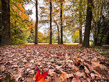 Semaine gourmande : Déco d'automne goumande
